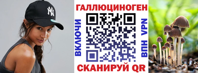 Купить закладки  Долгопрудный  Псилоцибиновые грибы Magic Shrooms 