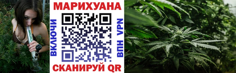 Купить где  Долгопрудный  Конопля MAZAR 